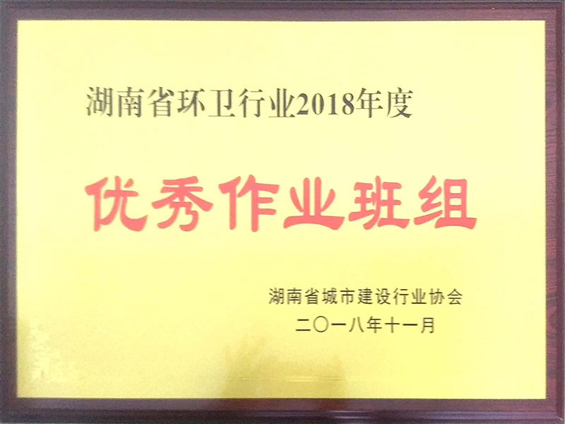 湖南省環衛行業2018年度優秀作業班組（桃江項目部）