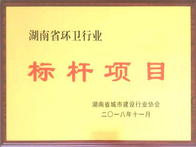 湖南省環衛作業標桿項目（灰山港 ）